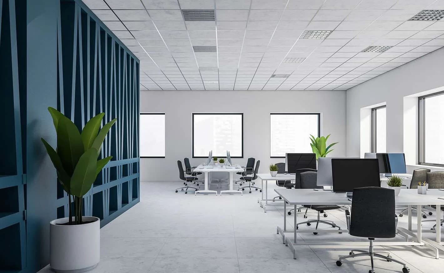 Creating a Health-First Office Space