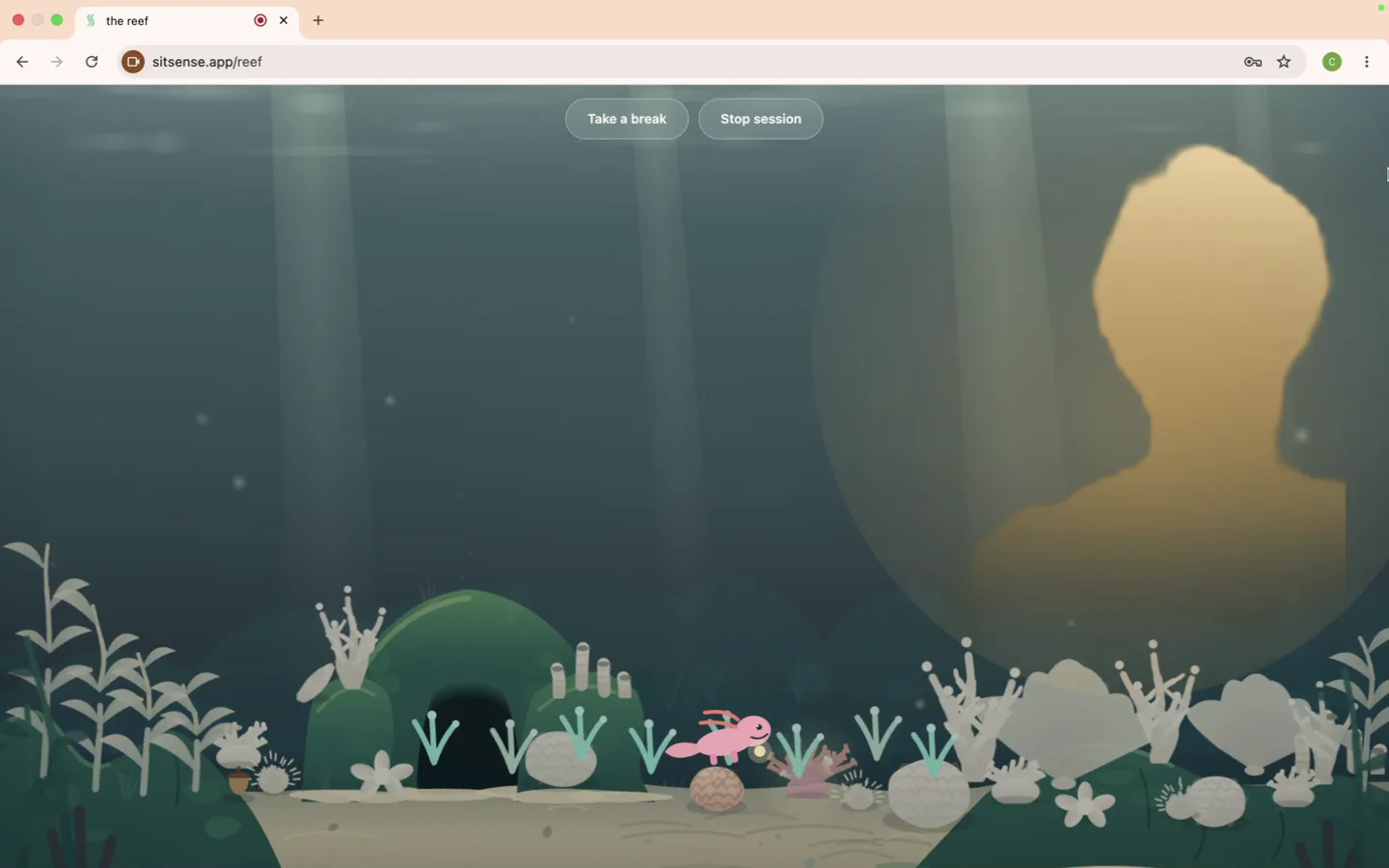 The SitSense reef mid-session with the light held: the water is bright, the silhouette of the person sitting glows warm gold on the right, and the axolotl is out working over the bleached coral